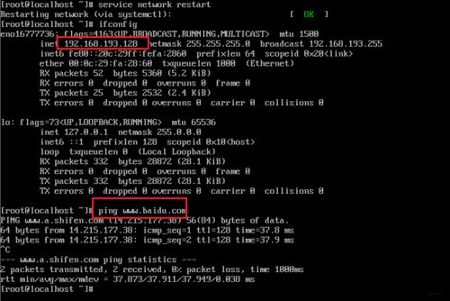 薅羊毛、P圖與Linux初探 淺談網絡信息安全與軟件開發